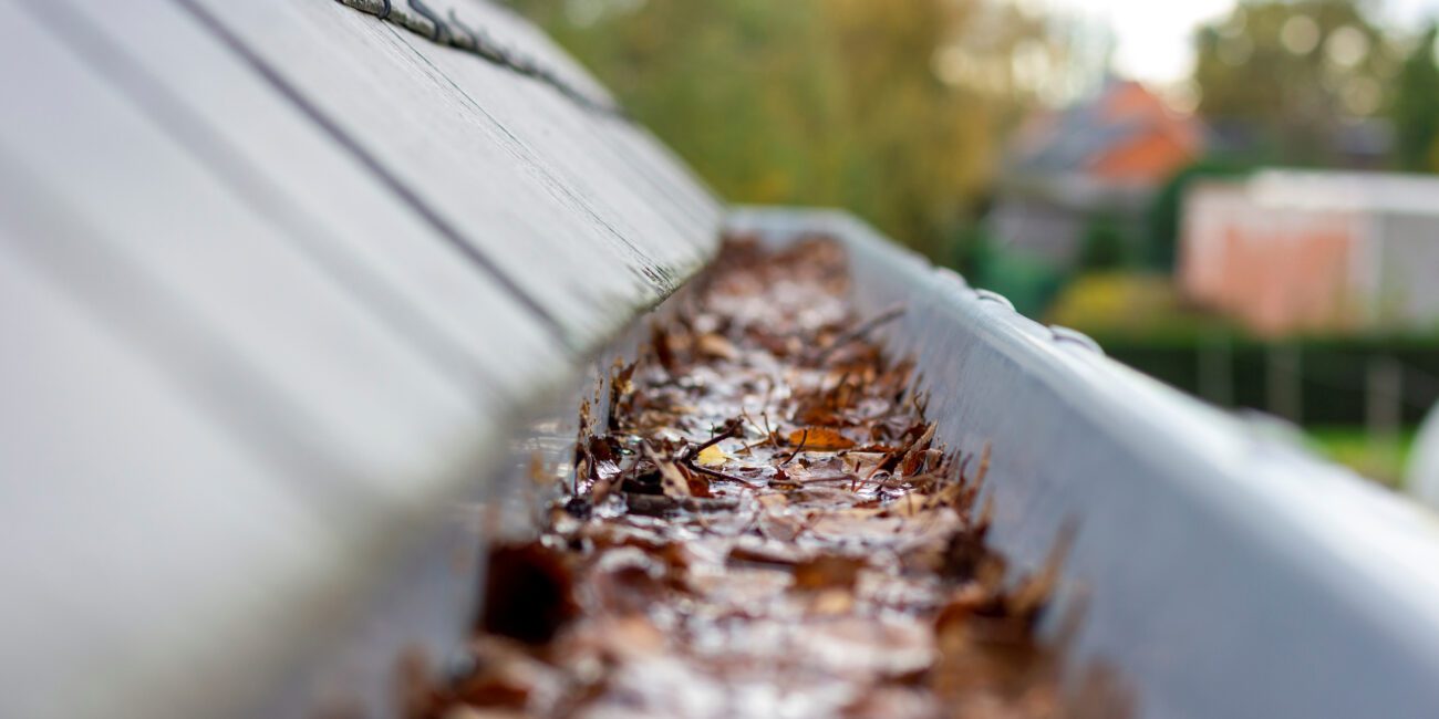 Leaves in Gutter