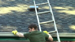 call before the fall