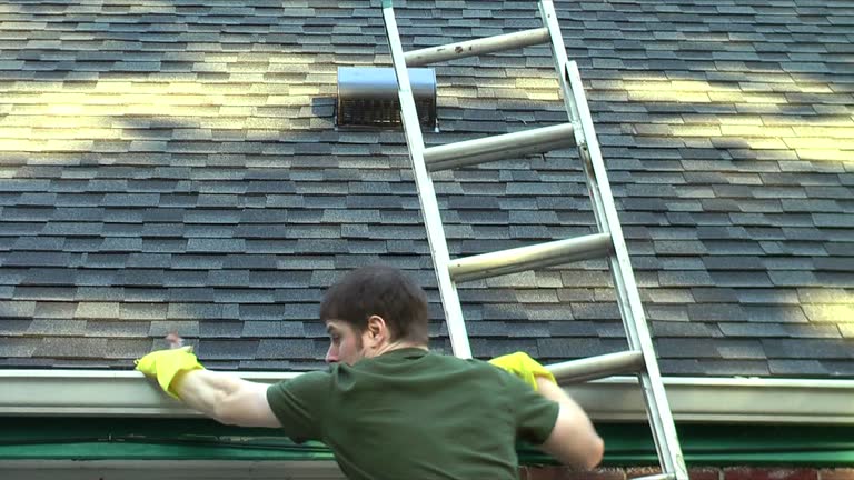 call before the fall